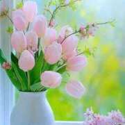 ヒメ日記 2026/04/19 05:05 投稿 しずく 待ちナビ