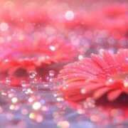 ヒメ日記 2026/04/19 11:07 投稿 しずく 待ちナビ