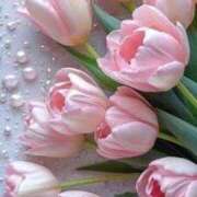 ヒメ日記 2026/04/19 16:05 投稿 しずく 待ちナビ