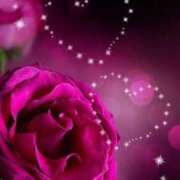 ヒメ日記 2026/04/20 05:55 投稿 しずく 待ちナビ