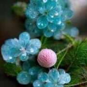 ヒメ日記 2026/04/20 09:55 投稿 しずく 待ちナビ