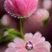 ヒメ日記 2026/04/20 13:05 投稿 しずく 待ちナビ