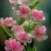 ヒメ日記 2026/04/20 15:05 投稿 しずく 待ちナビ