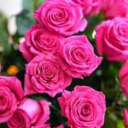 ヒメ日記 2026/04/21 04:05 投稿 しずく 待ちナビ