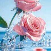 ヒメ日記 2026/04/21 04:45 投稿 しずく 待ちナビ