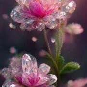 しずく 有り難うございます💓 待ちナビ