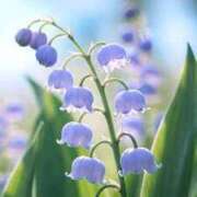 ヒメ日記 2026/04/21 15:25 投稿 しずく 待ちナビ