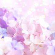 ヒメ日記 2026/04/22 17:08 投稿 しずく 待ちナビ