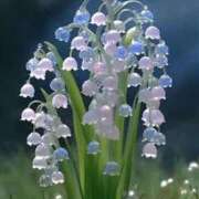 ヒメ日記 2026/04/23 12:05 投稿 しずく 待ちナビ