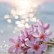 ヒメ日記 2026/04/23 13:18 投稿 しずく 待ちナビ