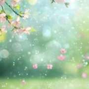 ヒメ日記 2026/04/24 08:25 投稿 しずく 待ちナビ