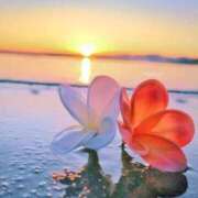 ヒメ日記 2026/04/24 16:35 投稿 しずく 待ちナビ