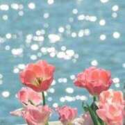 ヒメ日記 2026/04/27 09:15 投稿 しずく 待ちナビ