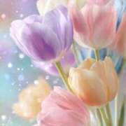 ヒメ日記 2026/04/27 11:31 投稿 しずく 待ちナビ