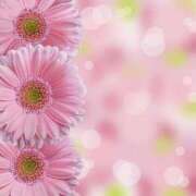 ヒメ日記 2026/05/02 08:13 投稿 しずく 待ちナビ