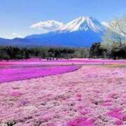 ヒメ日記 2026/05/20 04:25 投稿 しずく 待ちナビ