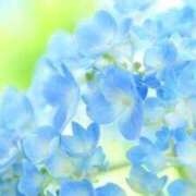 ヒメ日記 2026/05/24 12:35 投稿 しずく 待ちナビ
