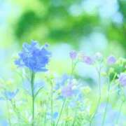 ヒメ日記 2026/05/28 03:45 投稿 しずく 待ちナビ