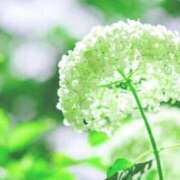 ヒメ日記 2026/05/28 07:05 投稿 しずく 待ちナビ