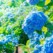 ヒメ日記 2026/05/29 11:35 投稿 しずく 待ちナビ