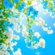 ヒメ日記 2026/06/28 05:35 投稿 しずく 待ちナビ