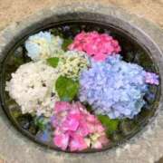 ヒメ日記 2026/07/07 15:25 投稿 しずく 待ちナビ