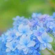 ヒメ日記 2026/07/08 14:06 投稿 しずく 待ちナビ