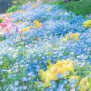 ヒメ日記 2026/07/19 19:05 投稿 しずく 待ちナビ