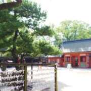 ヒメ日記 2026/07/22 09:58 投稿 しずく 待ちナビ