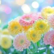 ヒメ日記 2026/08/10 09:23 投稿 しずく 待ちナビ