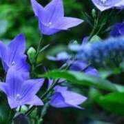 ヒメ日記 2026/09/11 18:56 投稿 しずく 待ちナビ