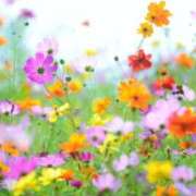 ヒメ日記 2026/09/23 08:43 投稿 しずく 待ちナビ