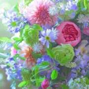 ヒメ日記 2026/10/04 10:35 投稿 しずく 待ちナビ