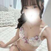 ヒメ日記 2026/03/08 16:58 投稿 ゆい The White