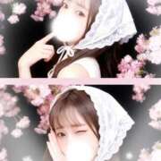 ヒメ日記 2026/04/04 15:04 投稿 ゆい The White