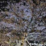 ヒメ日記 2026/05/06 22:11 投稿 てれさ スピードエコ難波店