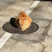 ヒメ日記 2026/04/08 13:46 投稿 しらゆき ニュー不夜城