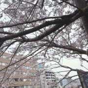 ヒメ日記 2026/03/29 18:04 投稿 西川ゆま 五十路マダムエクスプレス横浜店（カサブランカグループ）