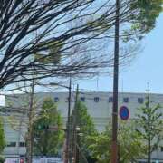 ヒメ日記 2026/04/19 15:50 投稿 あさひ 北九州人妻倶楽部（三十路、四十路、五十路）