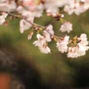 ヒメ日記 2026/05/30 19:54 投稿 あさひ 北九州人妻倶楽部（三十路、四十路、五十路）