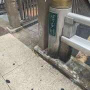 ヒメ日記 2026/06/02 12:15 投稿 あさひ 北九州人妻倶楽部（三十路、四十路、五十路）