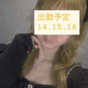 ヒメ日記 2026/10/14 23:20 投稿 あげは FLOW(フロー)