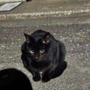 ヒメ日記 2026/04/06 11:38 投稿 もも☆最高の触り心地 と居心地♪ 妹系イメージSOAP萌えフードル学園 大宮本校