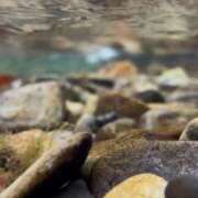 もも☆最高の触り心地 と居心地♪ いる🐱 妹系イメージSOAP萌えフードル学園 大宮本校