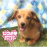 ヒメ日記 2026/03/08 14:26 投稿 さきの 大和人妻城