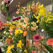 ヒメ日記 2026/03/05 19:07 投稿 みこ★性欲旺盛な現役保育士★ Chloe五反田本店　S級素人清楚系デリヘル