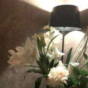 ヒメ日記 2026/03/30 10:48 投稿 みこ★性欲旺盛な現役保育士★ Chloe五反田本店　S級素人清楚系デリヘル