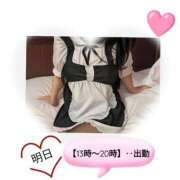 ヒメ日記 2026/03/13 15:46 投稿 すみれ 熟女家 京橋店