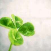 ヒメ日記 2026/03/18 08:48 投稿 すみれ 熟女家 京橋店