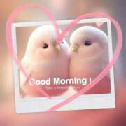 ヒメ日記 2026/03/24 08:38 投稿 すみれ 熟女家 京橋店